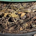 Come fare il compost