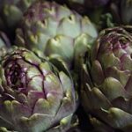 Il Carciofo (Cynara cardunculus scolymus) e il suo ruolo nell’economia circolare