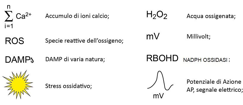 Modello di trasmissione della SARS