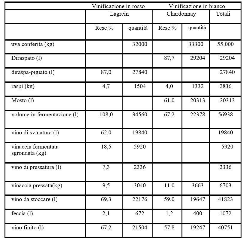 Tabella 2 vinificazione