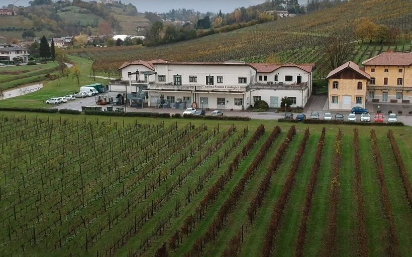 Cantina e vigneti della scuola