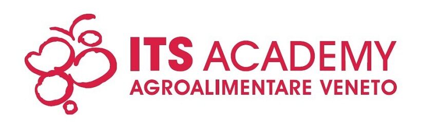 ITS Academy