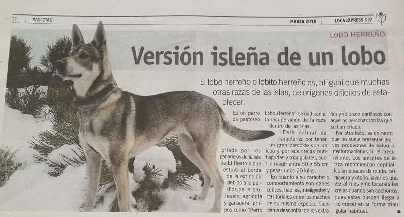 Articolo su Perro Lobo