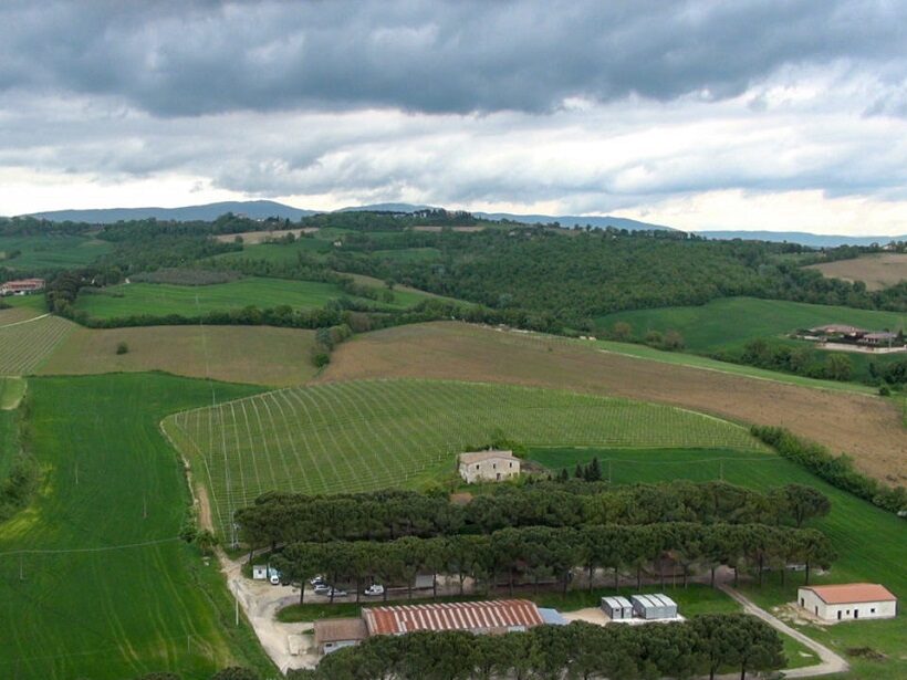 Azienda agricola 