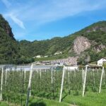 Scuola professionale provinciale per la frutti-viticoltura e il giardinaggio – Laimburg (BZ)