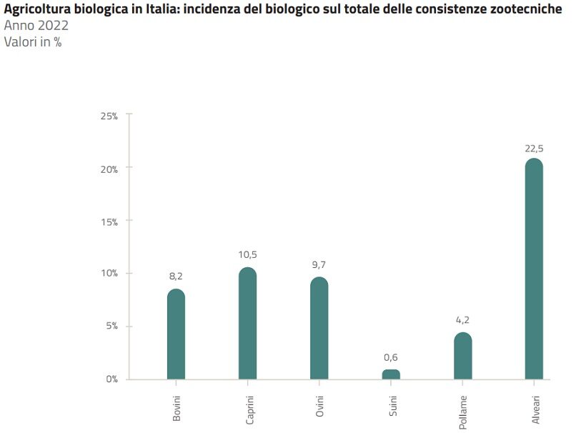 Agricoltura BIO in Italia