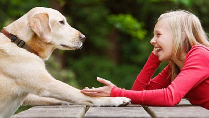 Rapporto fraterno fra cane ed essere umano