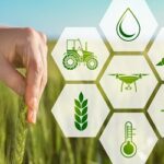 Blockchain del settore agroalimentare