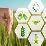 La blockchain nel settore agrifood