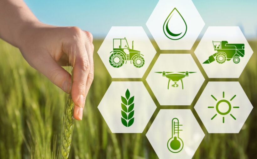 Blockchain del settore food