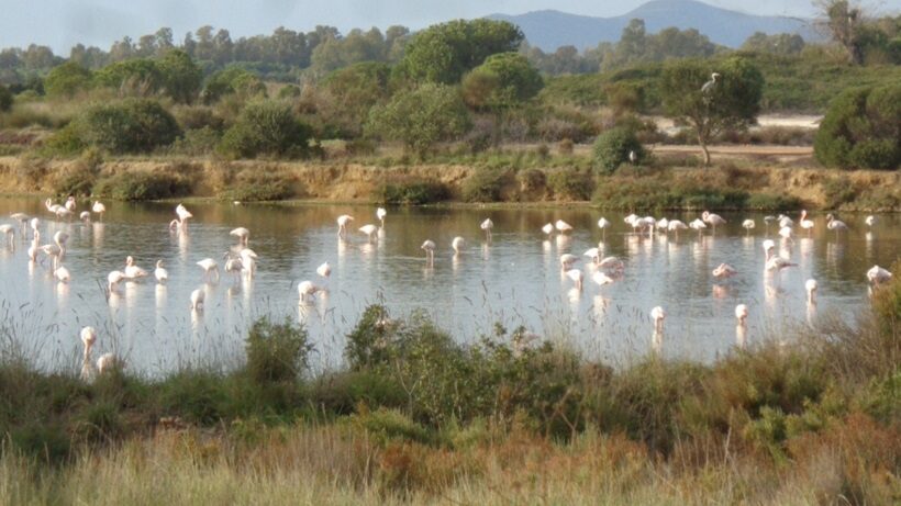 Laguna di Orbetello