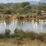 Turismo naturalistico in Toscana viaggiando in treno