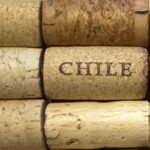 Cile: un clima di tipo mediterraneo che lo fa appellare con il nome di “Bordeaux del Sud”