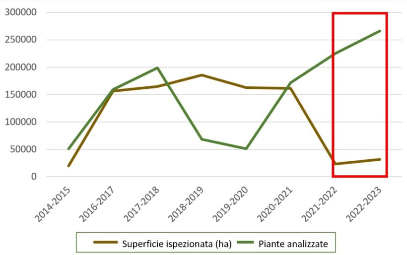 Grafico campagna di monitoraggio