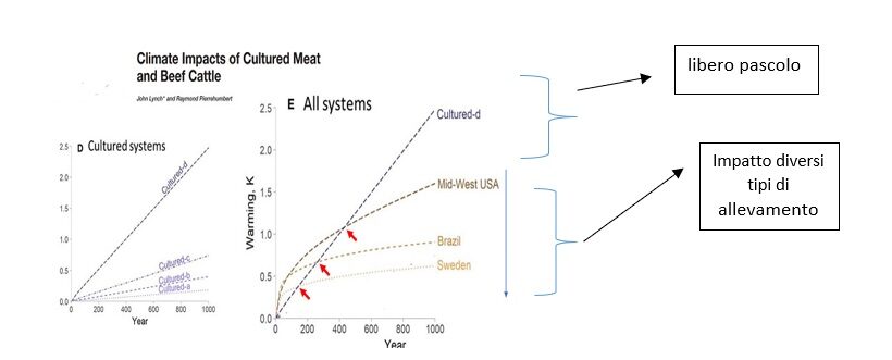 impatto climatico degli allevamenti