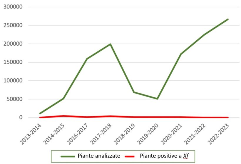 Grafico campagna di monitoraggio