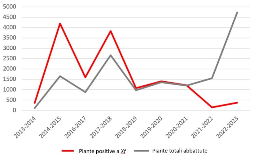 Grafico campagna di monitoraggio