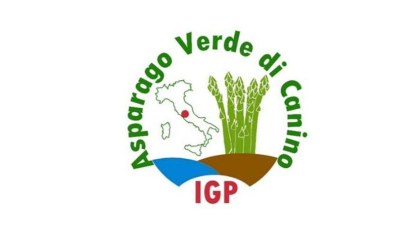 Asparago verde di Canino IGP