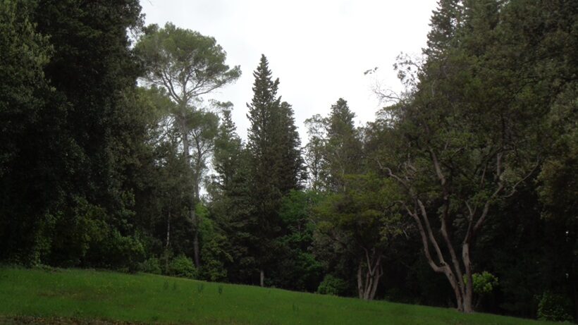 Giardini di Villa La Petraia a Firenze