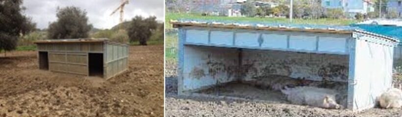 Ricoveri di vario tipo