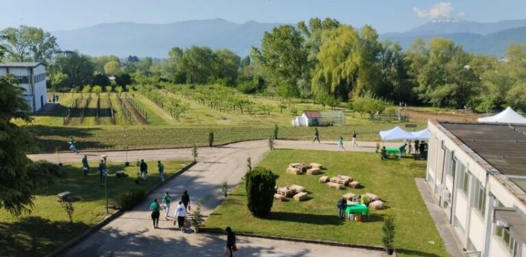 Istituto di Istruzione Superiore 