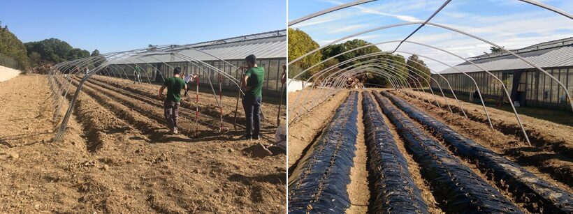 Esercitazioni all'interno dell'azienda agricola