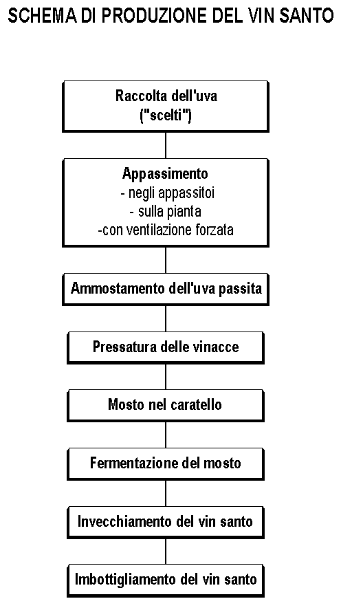Schema di produzione Vin Santo