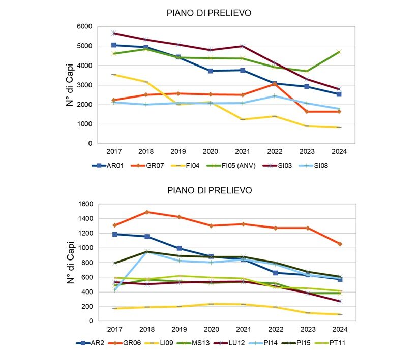 Variazione PPA