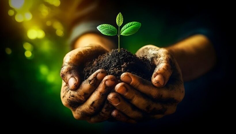 Business alimentare responsabile UE