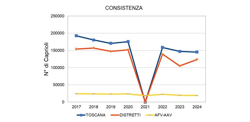 Diminuizione capriolo
