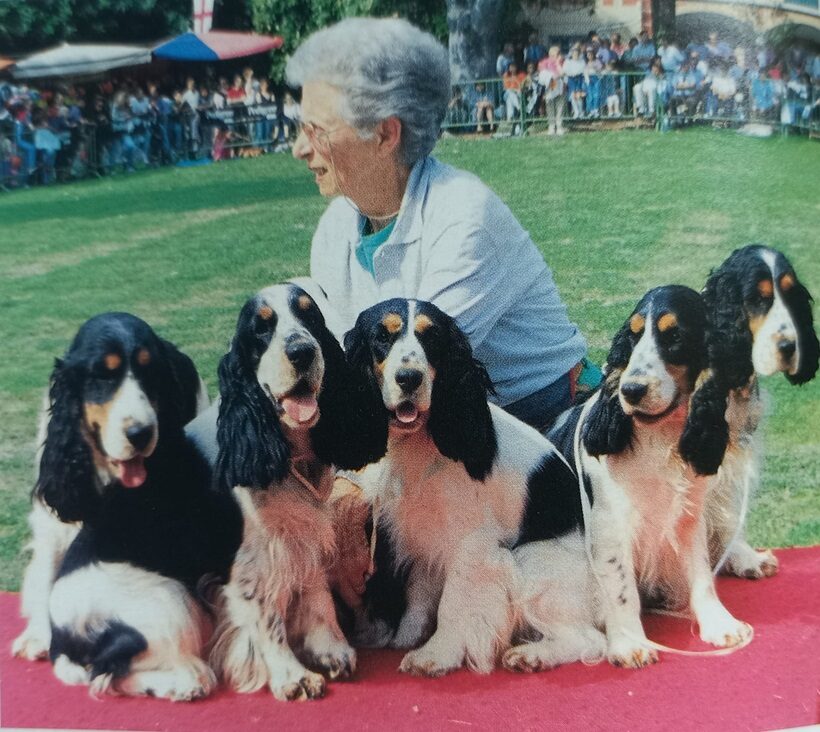 Gruppo di allevamento di cani