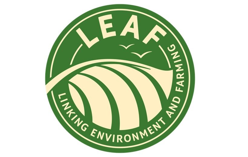 LEAF logo