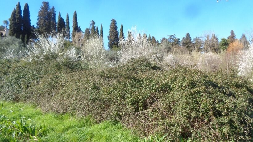 Dintorni di Firenze