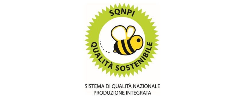 Produzione integrata