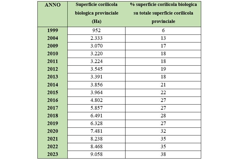 Noccioleti biologici Viterbo