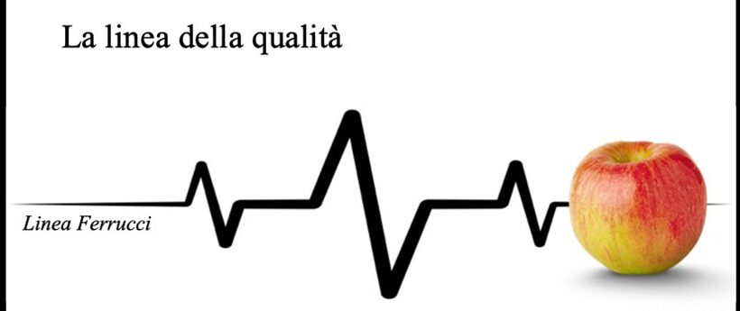 Linea della qualità