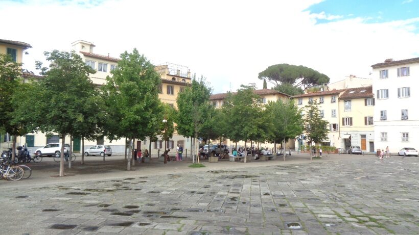 Erbe sui lastricati