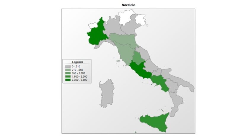 Nocciole in Italia