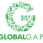 Lo standard Global GAP