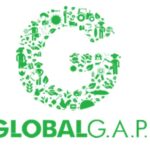 Il Nuovo Orientamento della Certificazione GLOBALG.A.P. V.6, una proposta di classificazione tra Sistema e Attività