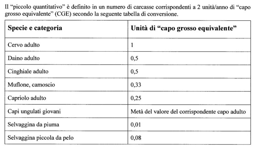 Capo grosso equivalente
