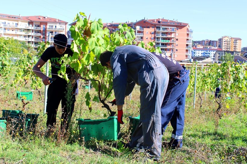 Esercitazioni