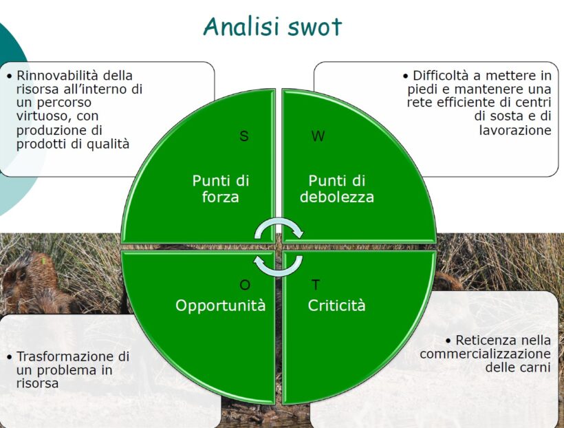 Analisi swot