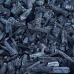 Il Rinascimento del Carbone Vegetale: la Carbonizzazione tra Tradizione, Innovazione e Futuro