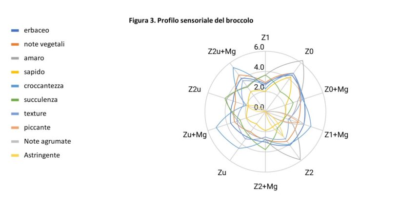 Profilo sensoriale broccolo