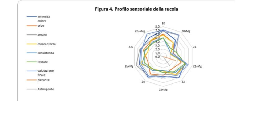 Profilo sensoriale rucola