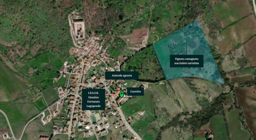 L'azienda agricola