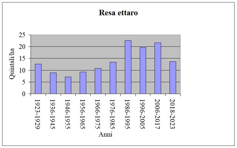 Superficie in provincia di Viterbo