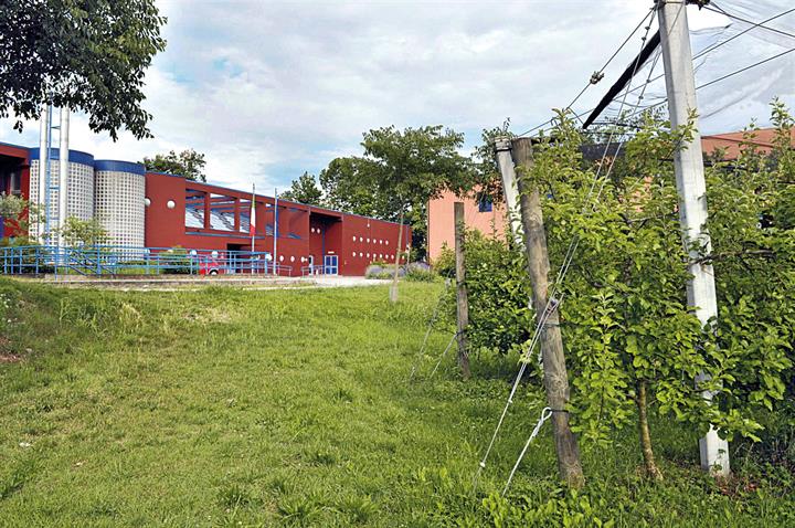 Istituto Professionale Agrario