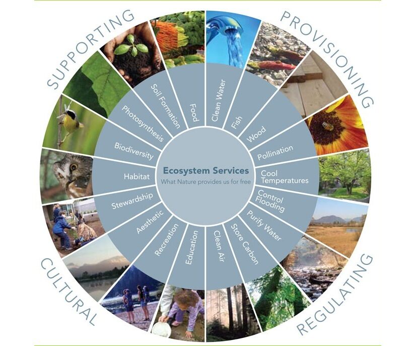Servizi ecosistemici